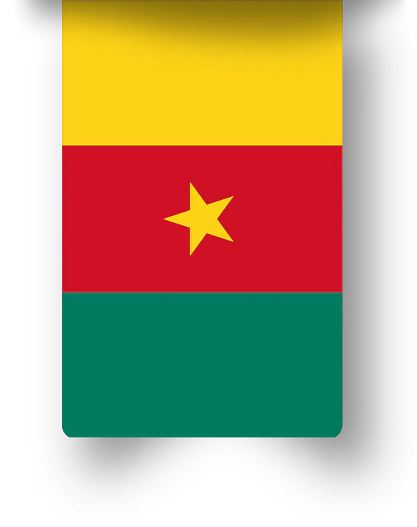 flag cameroun